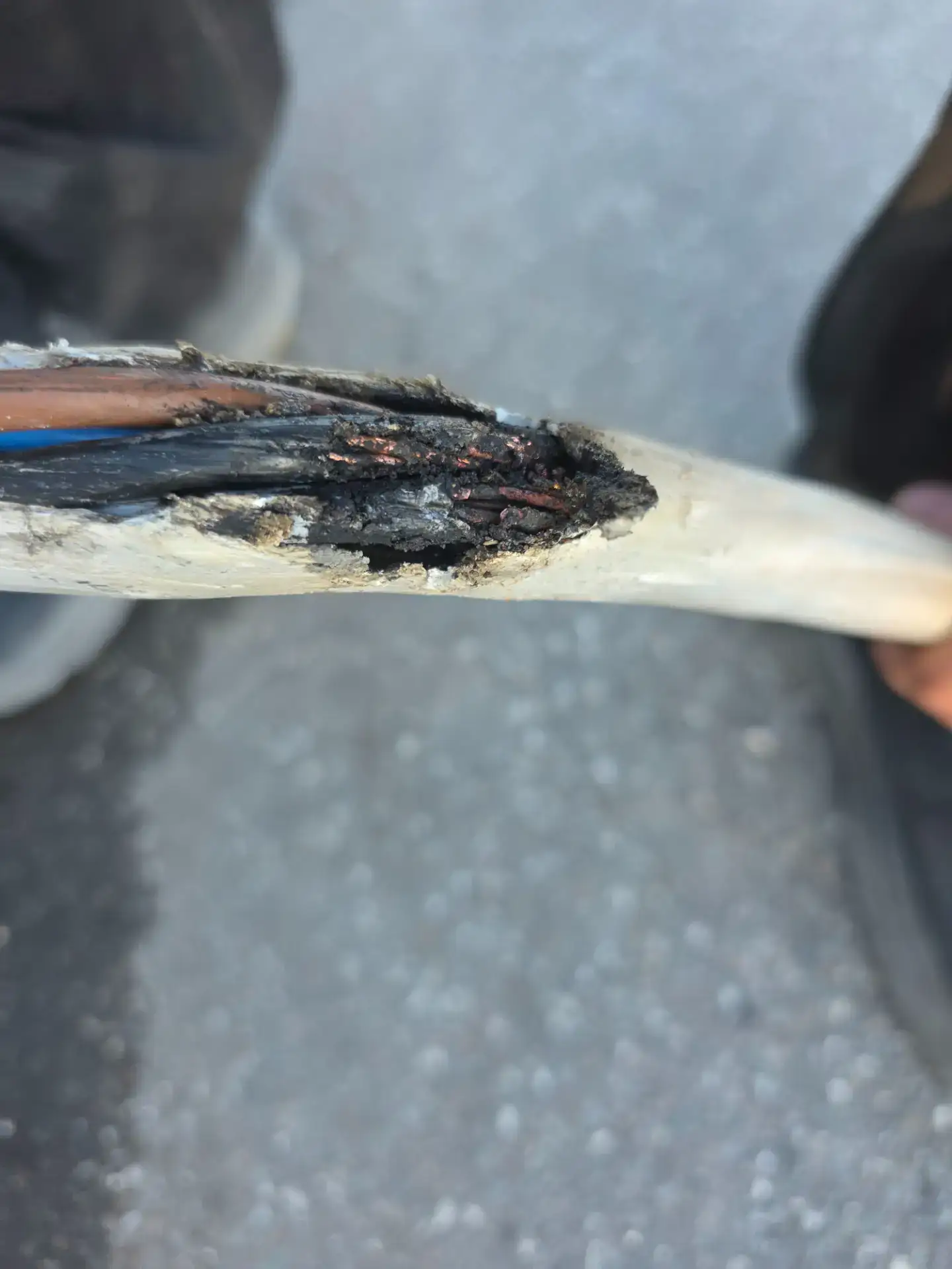 Skadet elektrisk kabel med brud og synlige ledninger.